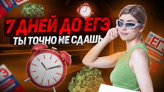 ЧТО ДЕЛАТЬ за 7 ДНЕЙ до ЕГЭ по ИНФОРМАТИКЕ? | ПОЛНЫЙ ГАЙД