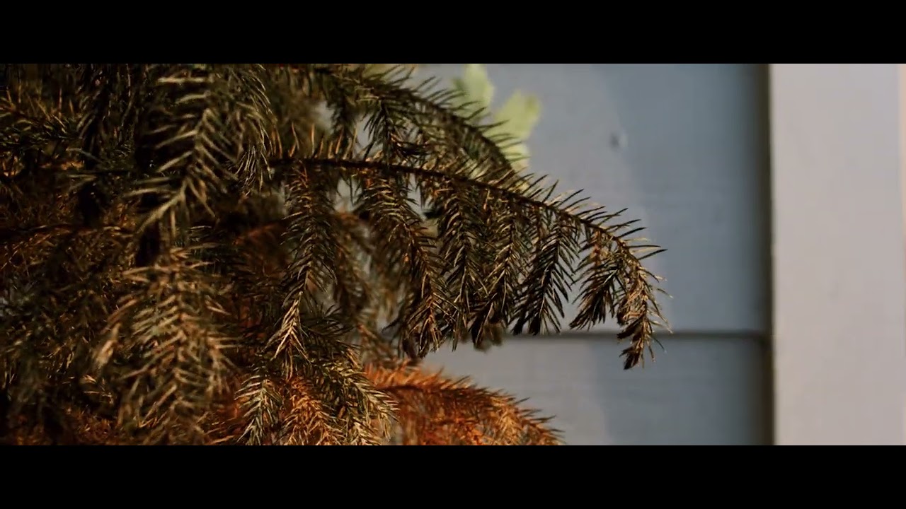 Red Raven 4.5k + Xeen 24mm T1.5 Test