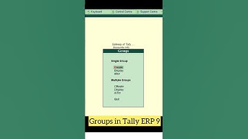 #shorts Groups and Ledgers in Tally Erp 9