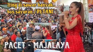 ITING DISAWER BANYAK - PARA PETANI/BOS SAYURAN - PACET MAJALAYA - PENONTON MEMBLUDAK ‼️
