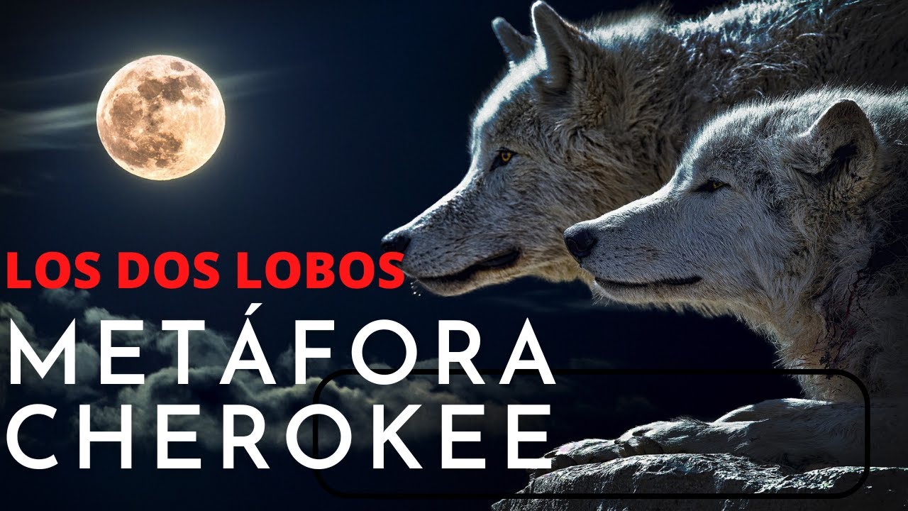 Metáfora Cherokee: Los Dos Lobos (Voz Humana) - YouTube