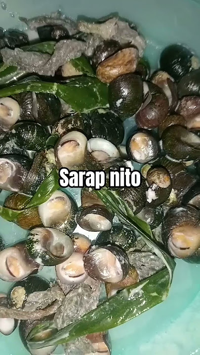 umuulam din ba kayu nito?