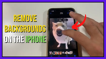 How to Easily Remove Backgrounds from an iPhone Photo (New IOS 16 Update)