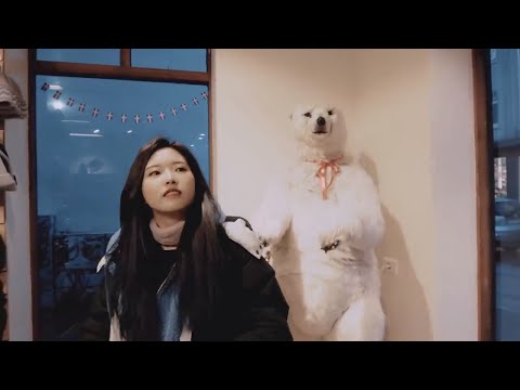 Olivia Hye dancing with a polar bear