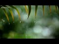 10 Hours Relaxing Music &amp; Rain Sounds - Beautiful Piano Music, Background Music, Sleep Music