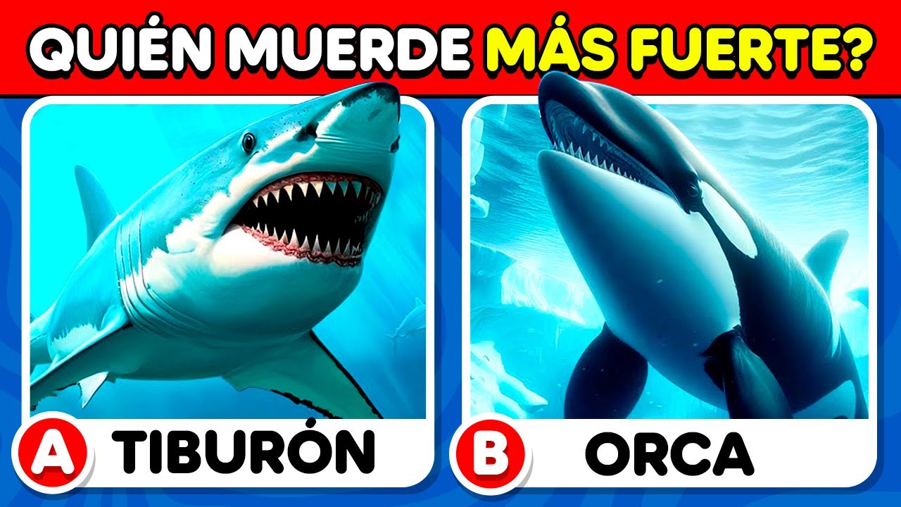 ¿Cuánto Sabes de Animales Marinos? ✅🐳🐬 Quiz de Cultura General