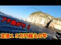 定価15万の竿を曲げながら柏島で磯釣りを楽しむ
