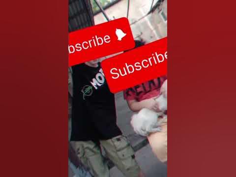 бест френдс - YouTube
