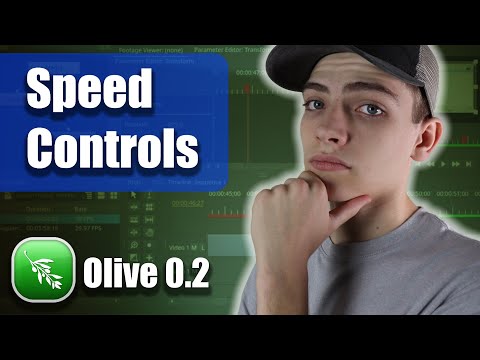 Olive 0.2 Time Remap and or Speed Controls / Freeze Frame, Speed Ramping, and  Reversing