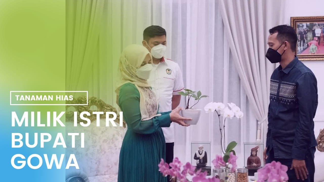 Tanaman Hias Koleksi Priska Paramitha, Istri Bupati Gowa