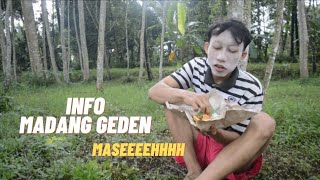 OLEH GAWEAN ANYAR || INFO MADANG GEDEN MASEEEH || EPS.3 CERITA KEHIDUPAN