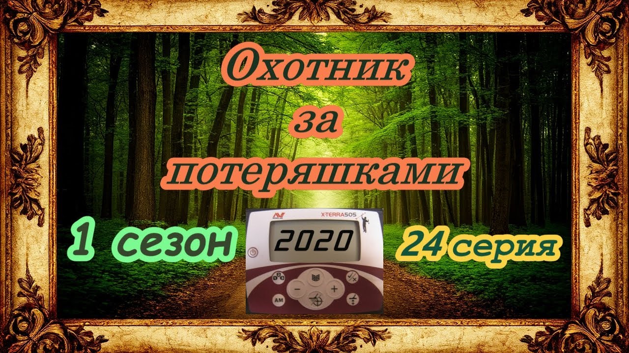 Лесной тайник советского леса. Золотое кольцо