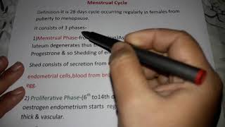 Menstrual cycle