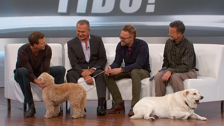Would You Use a Matchmaker to Find Your Dog?