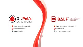 Тест для определения группы крови у собак Kabb Bio
