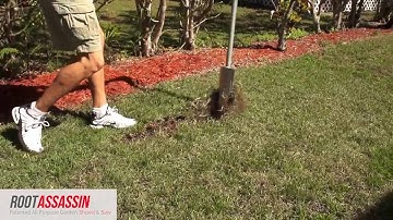 Root Assassin ( with Narration)