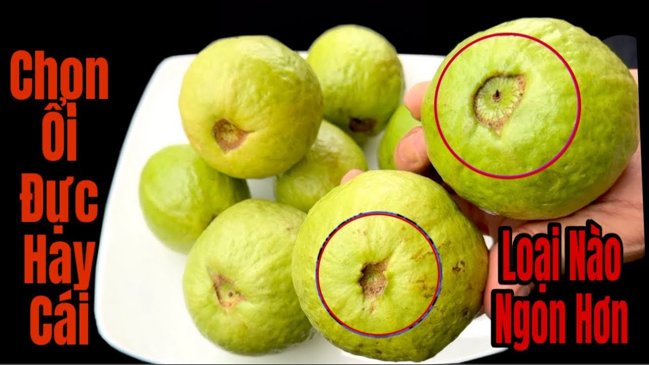 Khi Mua Chọn Ổi Đực Hay Ổi Cái Ngon Hơn , Cách Chọn Ổi Giòn Ngọt Ít Người Biết