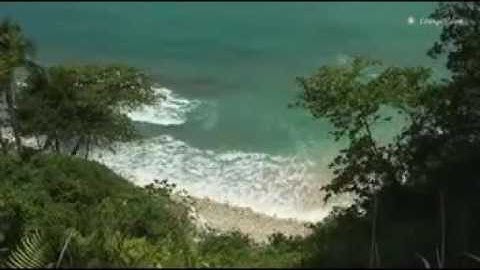 ‫تلاوة عراقية للشيخ شيرزاد عبدالرحمن  mpg‬   YouTube