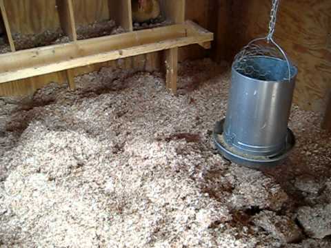 Chickens: The Deep Litter Method - YouTube