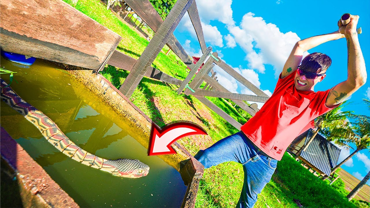 ASSUSTEI TODOS MEUS AMIGOS COM UMA COBRA