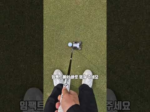 100만원 주고 배운 레슨 #퍼팅레슨 #숏게임레슨 #골프스윙