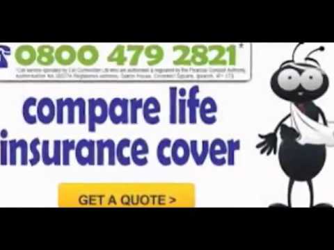 Life Insurance Comparison Quotes YouTube Delectable Life Insurance Comparison Quotes Life Insurance Comparison Quotes YouTube Delectable Life Insurance Comparison Quotes