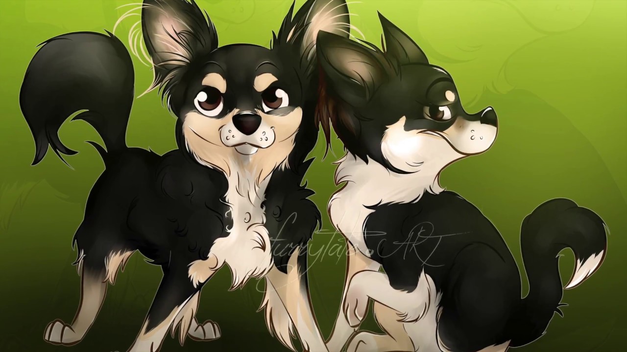 camera iphone 8 plus apk Speed Drawing: Chihuahuas // furrytale.ART