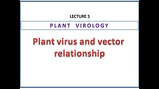 Plant virus and vector relationship | Non-persistent, semi-persistent and persistent transmission
