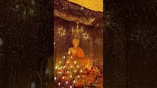 #buddha #buddhapurnima2026 #love #shots #god #buddhawisdom #wisdom #spritual #shorts #video