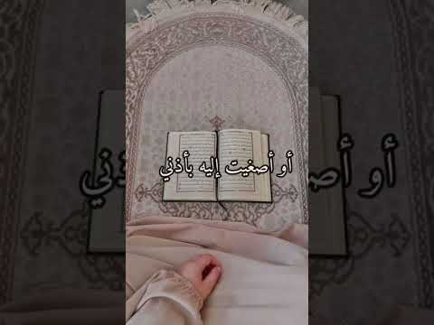 تصبحون على خير