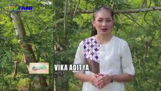 Penelitian Tentang daun kelor screenshot 2