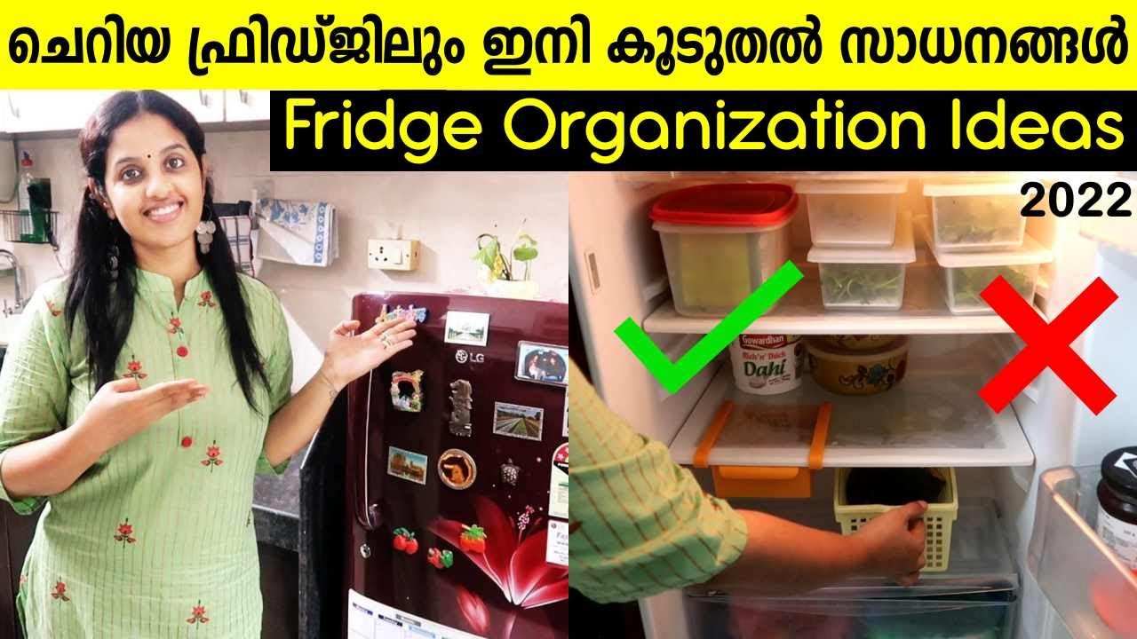 Fridge Organization ideas 2022 How to organize small fridge