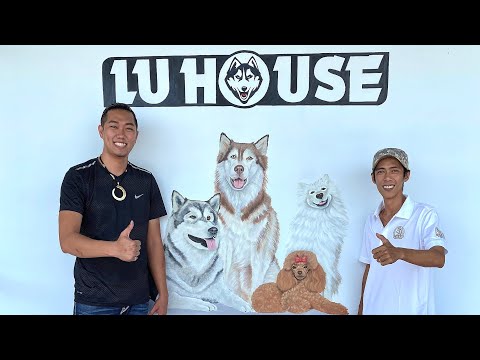 Video Trại chó Alaska , Husky ở Vĩnh Long | Lu House - youtube
