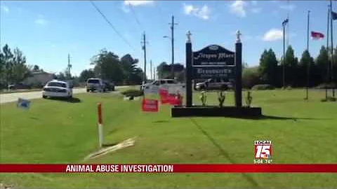 Animal Abuse Investigation