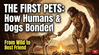 How Humans Accidentally Created Dogs