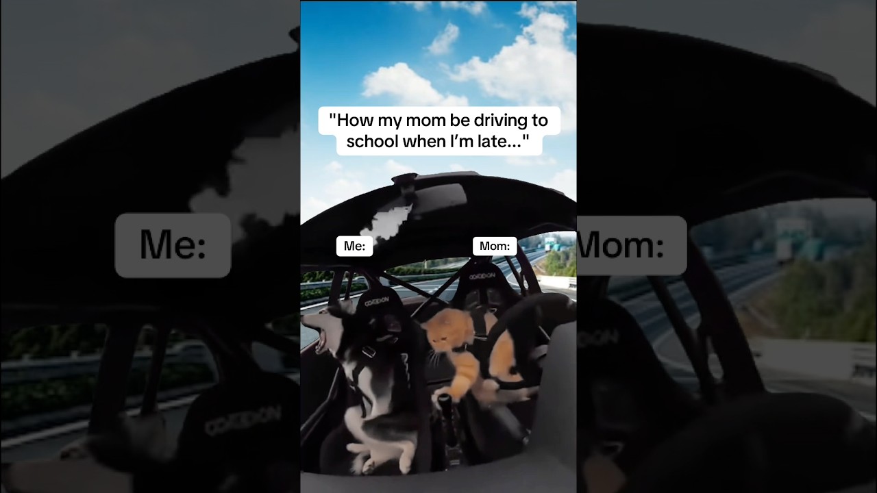 Share with someone who needs this reminder🫣🙈☠️