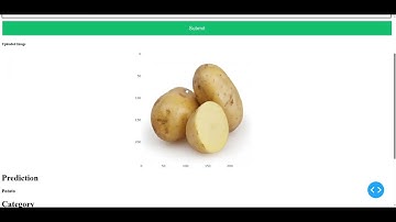 Revolutionizing Agriculture  Machine Learning for Crop Classification