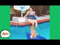HOWLING For HOOPS! 🐶😆 | Funniest Animals | AFV 2020