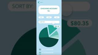 D4: Type On Screen - ClearView Mobile Banking App