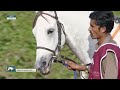36th Al Rayyan Race Meeting - Al Kharrara Cup