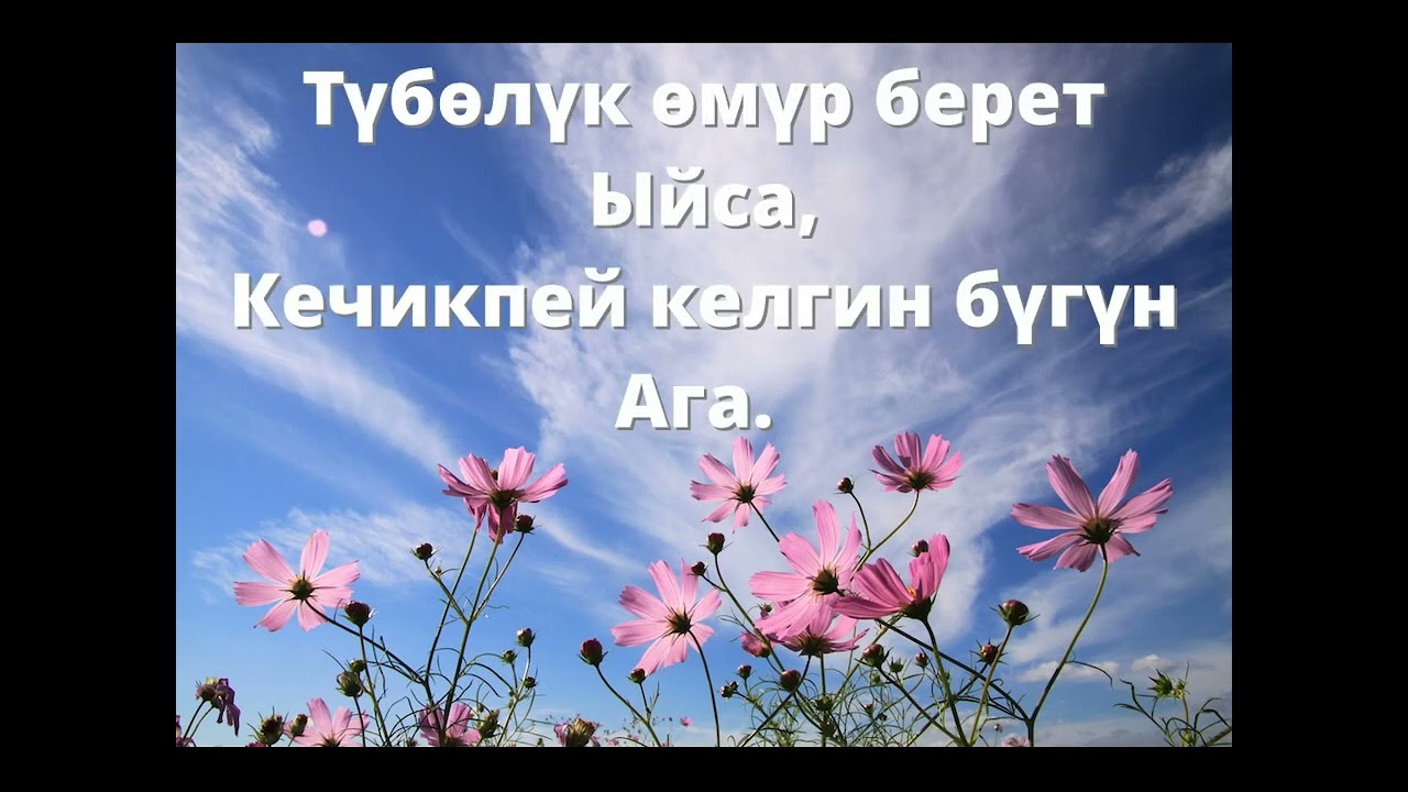 Бул дүйнөдө биз келгинбиз