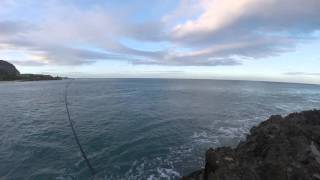 Part #2 Nanakuli Whipping 6:30 am 04/23/16