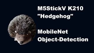 Hedgehog object-detection test M5StickV K210