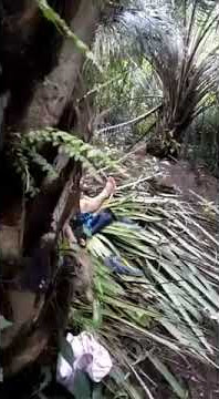 Ketahuan Wik Wik Di Hutan #shorts