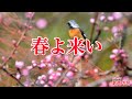 【一緒に歌おう】春よ来い(おうちで歌声の会)