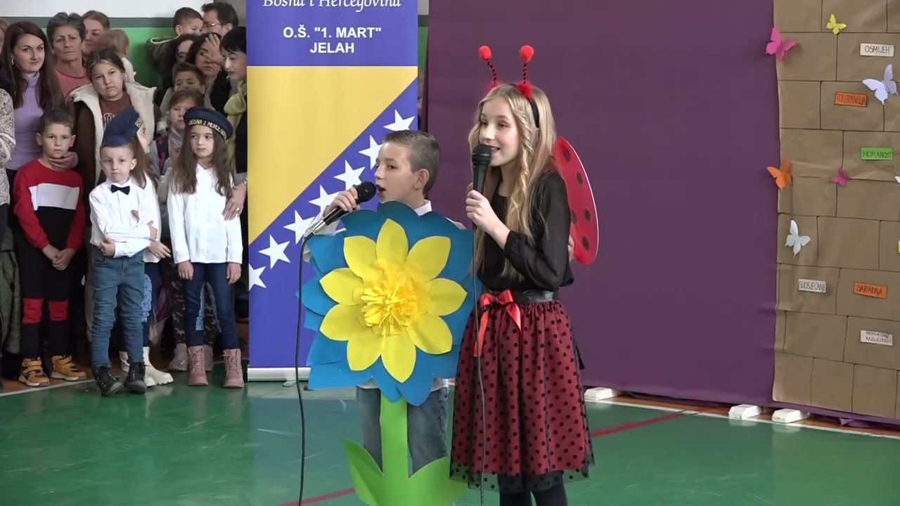 Osnovna škola 