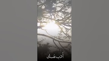 وما الحياةُ الدّنيا إلا لَعِبٌ ولهوٌ || القارئ ياسر الدوسري