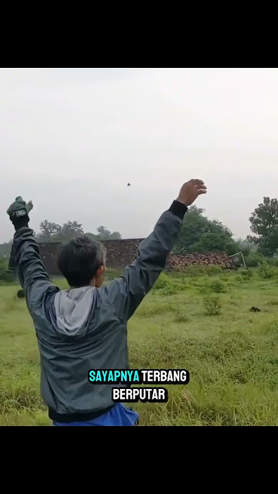 Viral! Pria Ini Tak Percaya Bebek Bisa Terbang, Ending-nya di Luar Dugaan!
