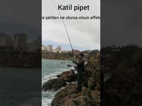 K. pipet antalyali mehmet özler