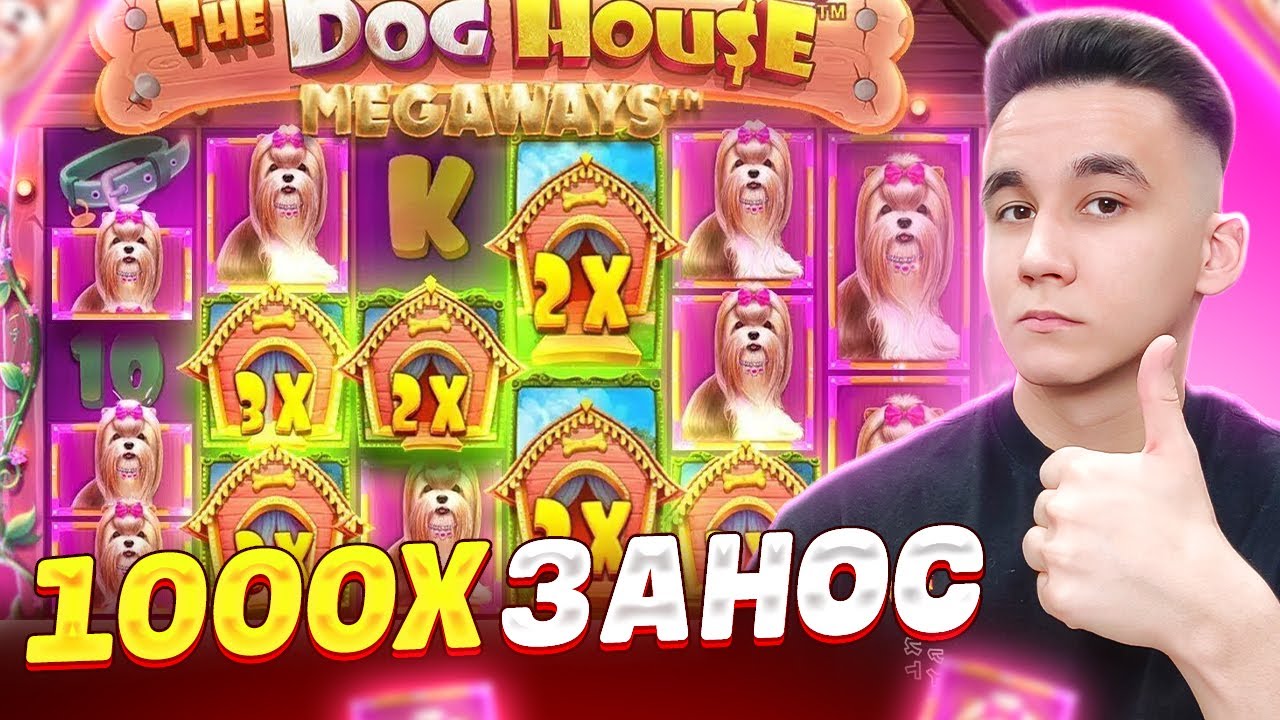 СЛОВИЛ 1000Х ЗАНОС! В THE DOG HOUSE MEGAWAYS / ALL IN БОНУСКИ И БОНУСЫ ЗАНОСЫ НЕДЕЛИ В ДОГ ХАУС